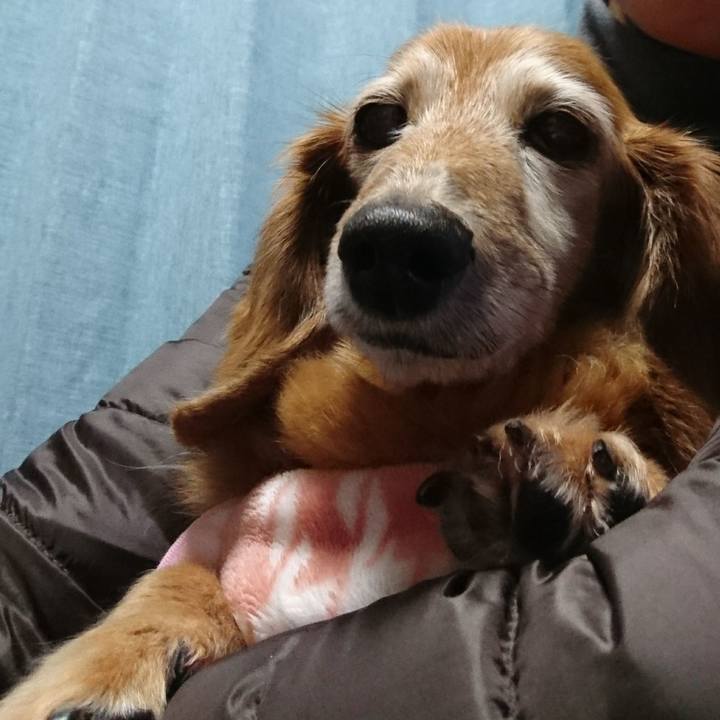 04ca81a9 3f9d 4832 8862 b8695f6428c4 1514184158158