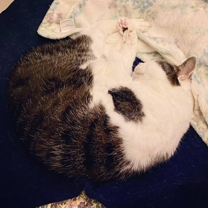 04ca83ed 2ad3 4641 8344 f195a19d4f83 1610118673634