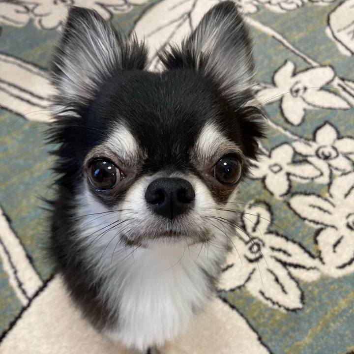 04caaf80 c92d 4151 8a5b 5f68586e0503 1627772651206