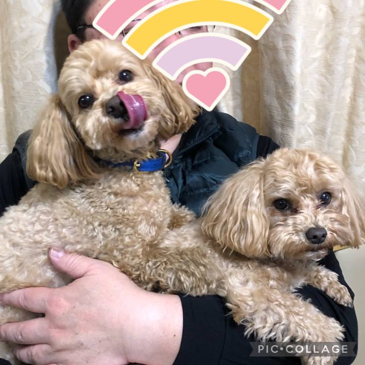 04cac14a 8338 40ab 8056 9ed271007a07 1677406327445