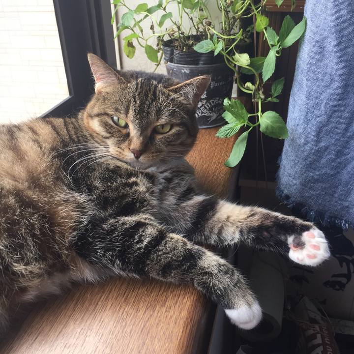 04cb1f7a da78 4cc4 a3b3 8b22b0ffabd3 1563859544228