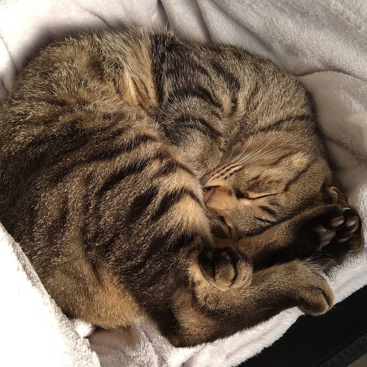 04cbcaf3 24dd 4bf6 af8a 844e891c8059 1668839074541