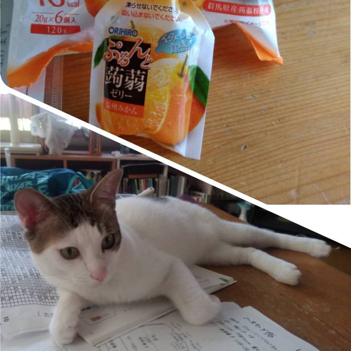 04cbfc27 1b06 45d9 ad87 64f0f750ee2f 1659497397013