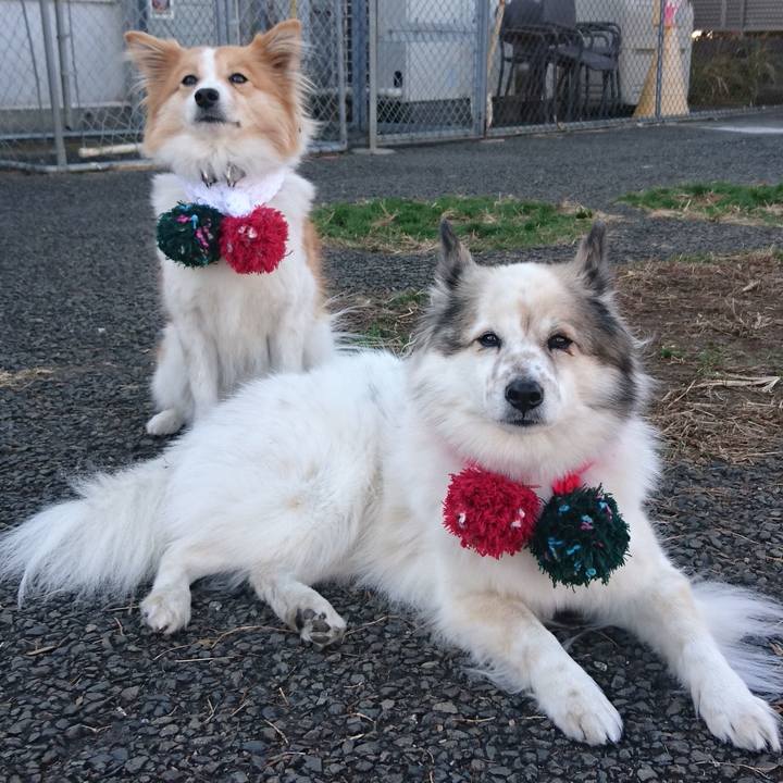 04cc179d b7d6 4d98 9e87 8fdf66468228 1640430438344