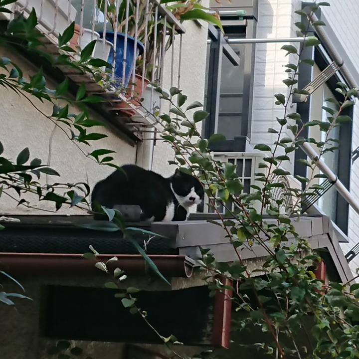 04cc32cd 2459 40c3 bc1b 1a9ba737db46 1572155521984