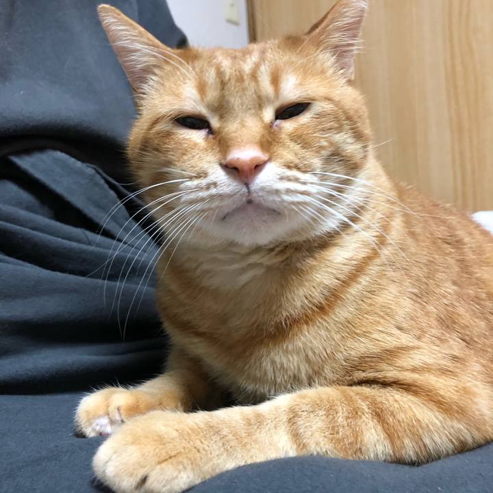 04cc3757 9fad 43b4 afd8 91c404b8c5d8 1608559172339