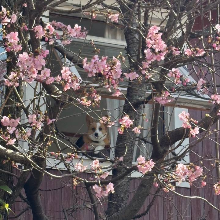 04cc4d7f 66e2 43d4 aaca 990614350be9 1772250759996