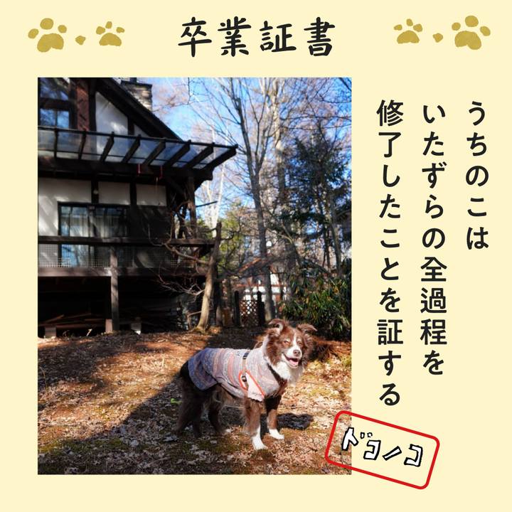 04cc6383 59fa 483f bfc2 ca73d01958e3 1771889261184