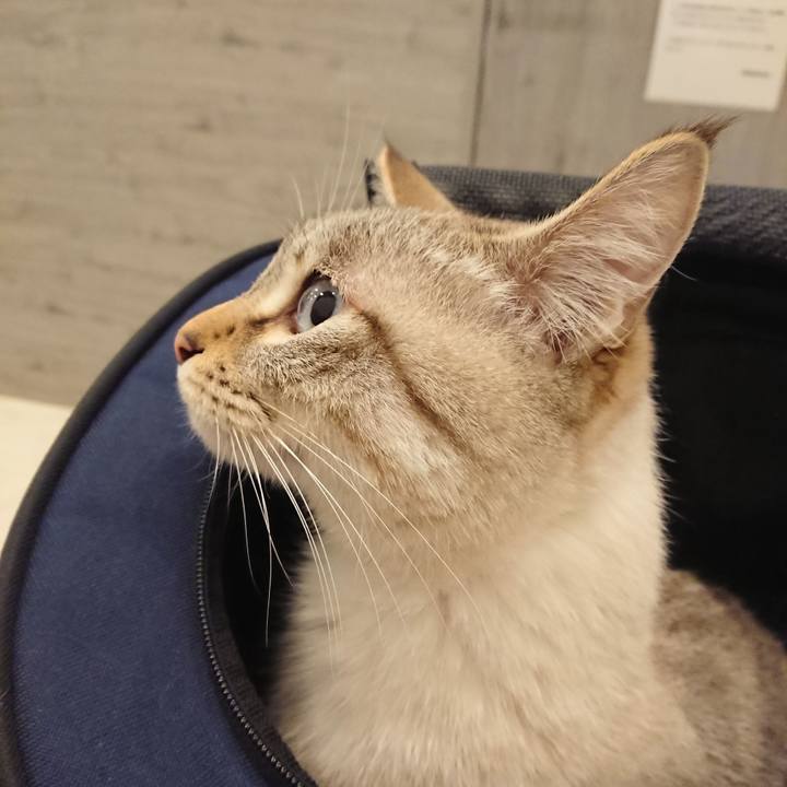 04cc780d 03f7 403e 815a 3704f0c4775b 1610179513468