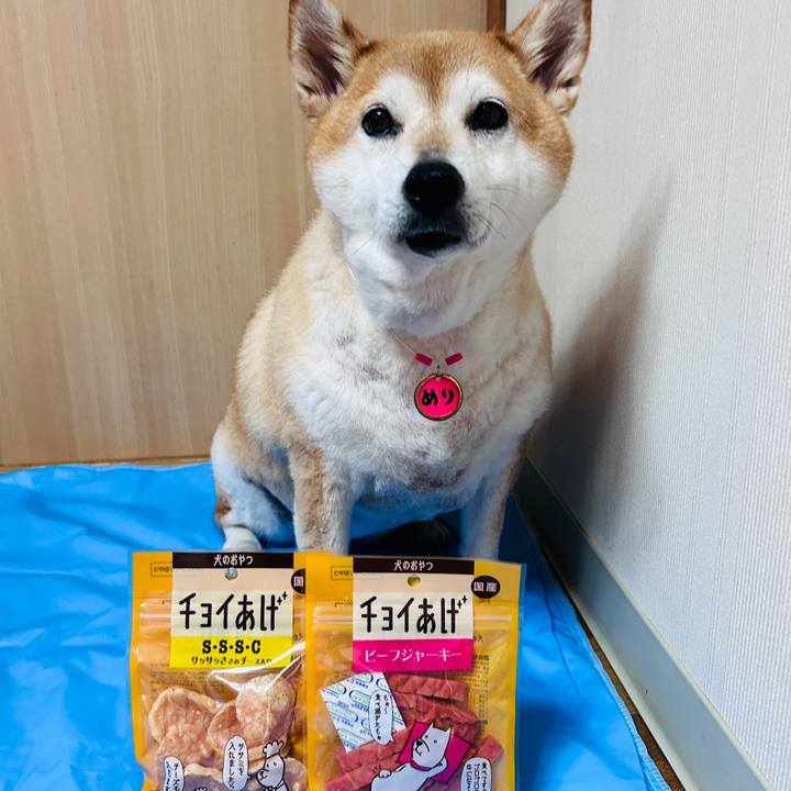 04cc8678 19b5 487e a16c 019a154ac707 1726718467899