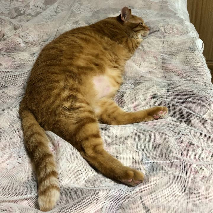 04cc9255 2973 47b5 95b0 1168e9b1c5f0 1610976190461