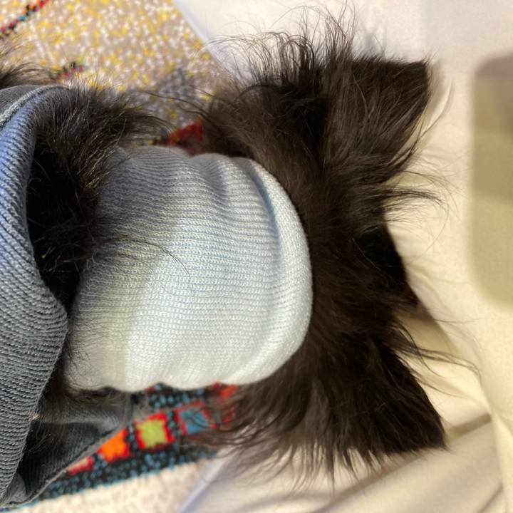 04cc95b5 3169 477b 9319 1f6fab10a502 1710661171674