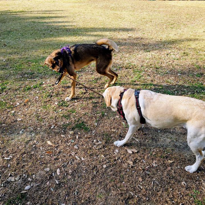 04cca80c c959 4db8 b26d 95efc93c4ecb 1763265624694