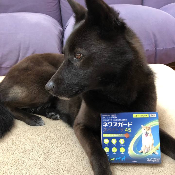 04ccde09 0e88 4717 bc9a e1e2ccbddab4 1552189520243