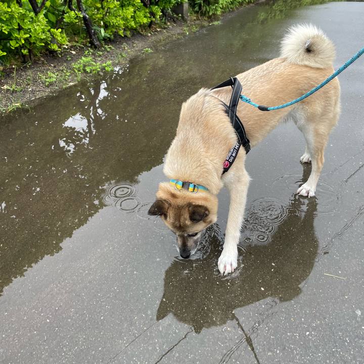 04cd2054 131b 4e92 9be5 69d4ca2e4325 1716813183703