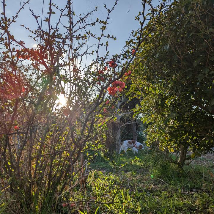 04cd36e0 0d22 4d08 a057 f0f8912ab50e 1678698397920