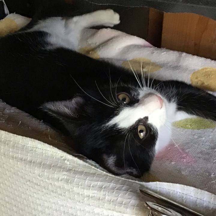 04cd7607 de07 4b8d 9ae2 2b41e57aca96 1626926143433