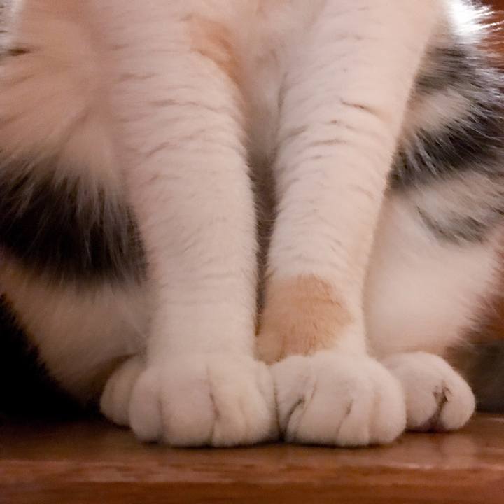 04cdab7d d52d 4c45 a6db 2cee985c10b7 1522473129198