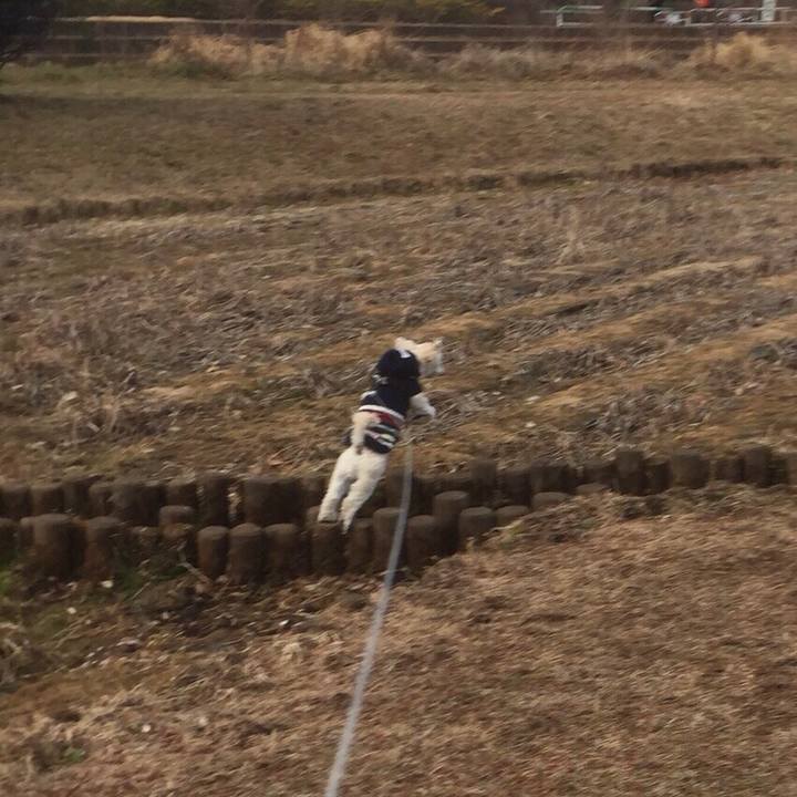 04cdb0ae ba6b 4177 8d6f 1c8d845857ad 1614255219921