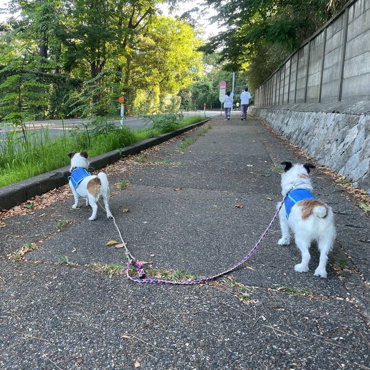 04cde940 df69 44cf 9e79 254012e28ad6 1752965087357