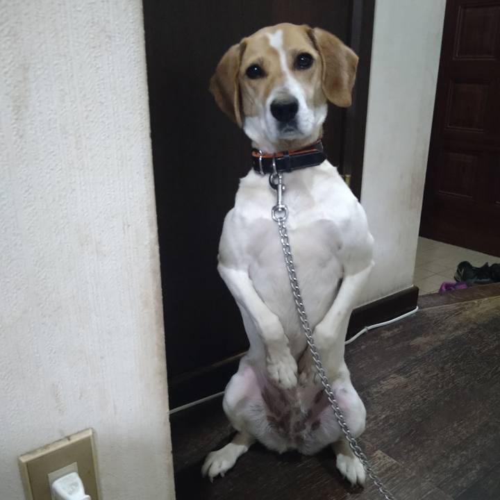 04ce0531 1168 48ae a32e f9b070e2a6f9 1622797479686