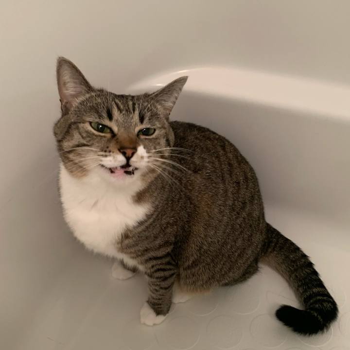 04ce3f4c 9a32 4cfb a45d 08051262782c 1639397643220