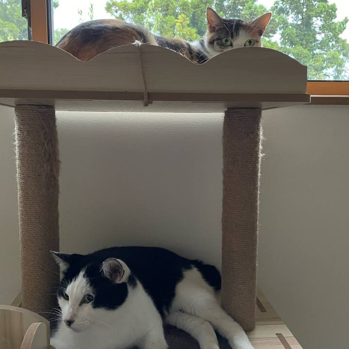 04ce5a25 643d 4476 a1fa 53e3b480b9d7 1660985286558