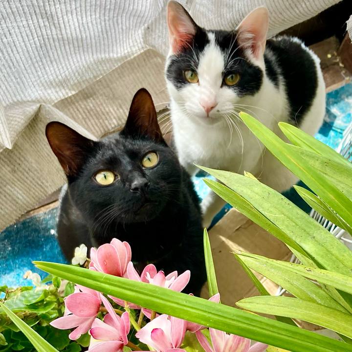 04ce8125 7486 4dad 8ef8 fd5fb78f1a0f 1645762445692