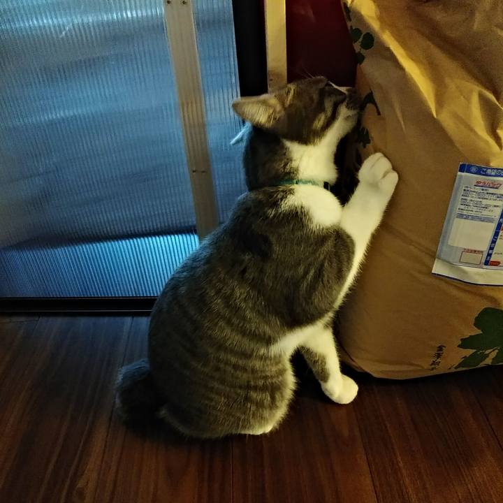 04ce8d53 76f7 4fc9 b028 5ac223295179 1575011894614