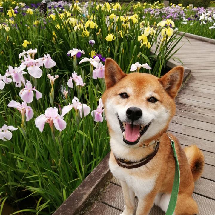 04cee3db 03e6 4d7a 9363 fb6236378293 1622596088778