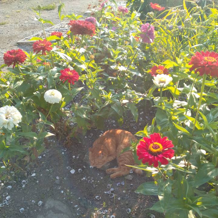 04cee532 5505 4023 84b8 3967afdb9297 1690584587121