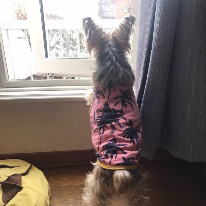 04cee7e6 efcc 416b 84b4 e7510c0bd591 1584007705473