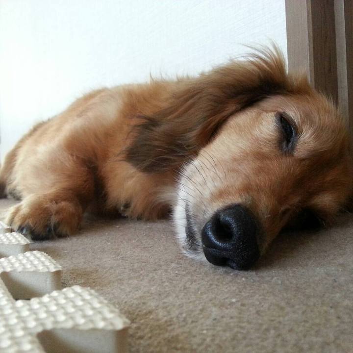 04cf0f05 e645 4e82 82a1 4d6741a581fc 1530253836515