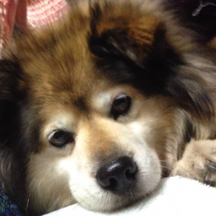 04cf4a83 064b 4949 a433 19b6c77815c8 1568554924025