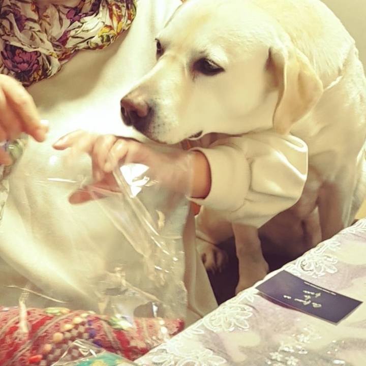 04cf83eb b1f1 4896 a15a e5e29158db72 1676900989551