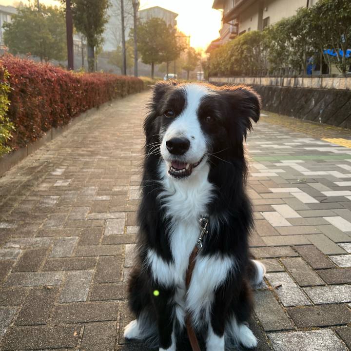 04cf8d3f 69c2 44db aec2 f011400651ec 1770852482725