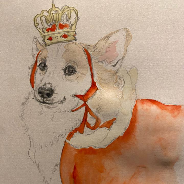 04cfcc9c 4327 47a2 a0bb 09b2edbe3776 1671464395120