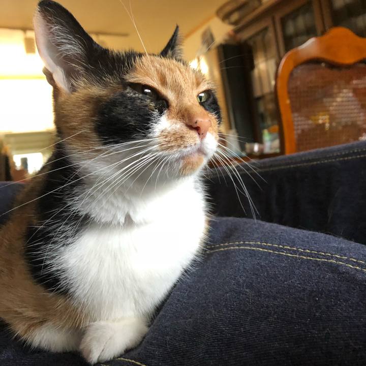 04cfd0e0 0aaa 4575 ad97 3dffe181e91d 1530937773769