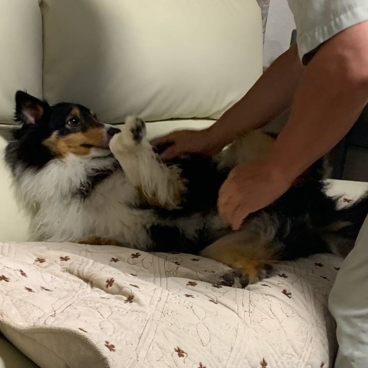 04d00754 05a8 4085 b22a 0b1a987944dc 1565391752890