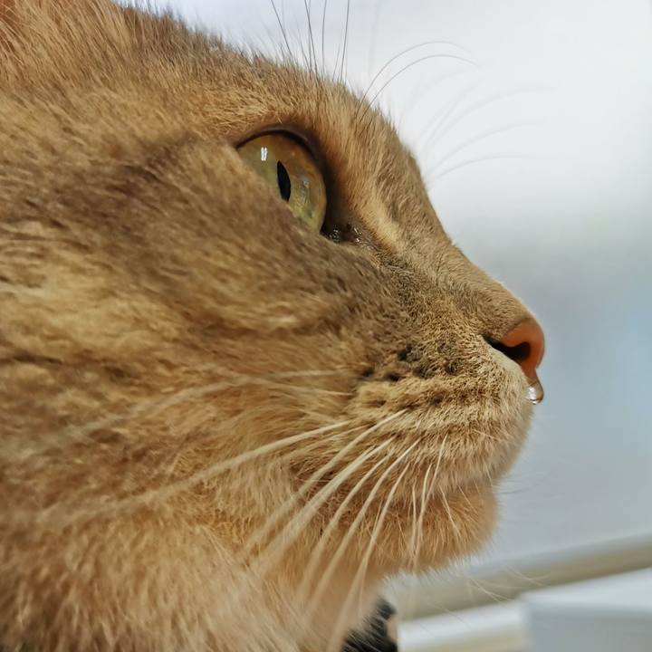 04d02a7e 00de 4712 9f98 046a74acfd18 1679286415903