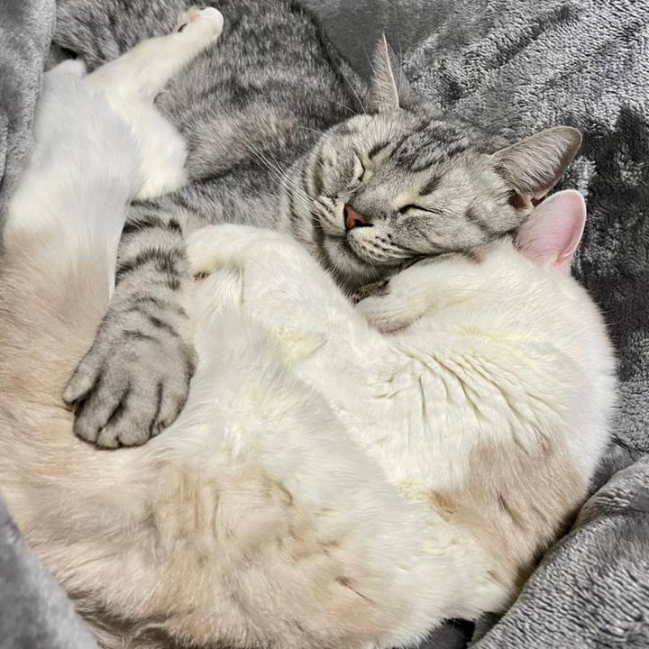 04d07cfd 88b3 47f1 bb23 9d31edeaa948 1675986250654