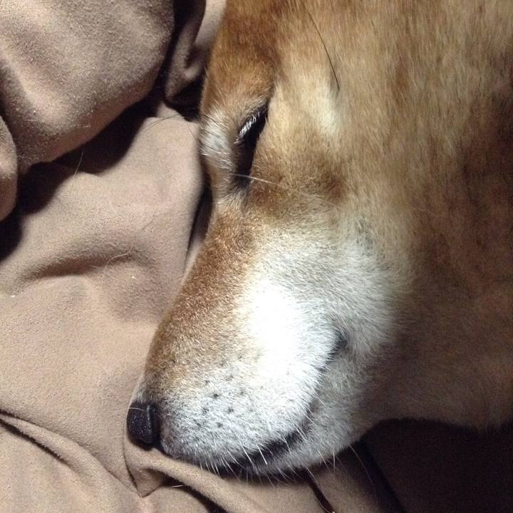 04d09156 2756 4917 aa90 88ff0170ef63 1546954048482