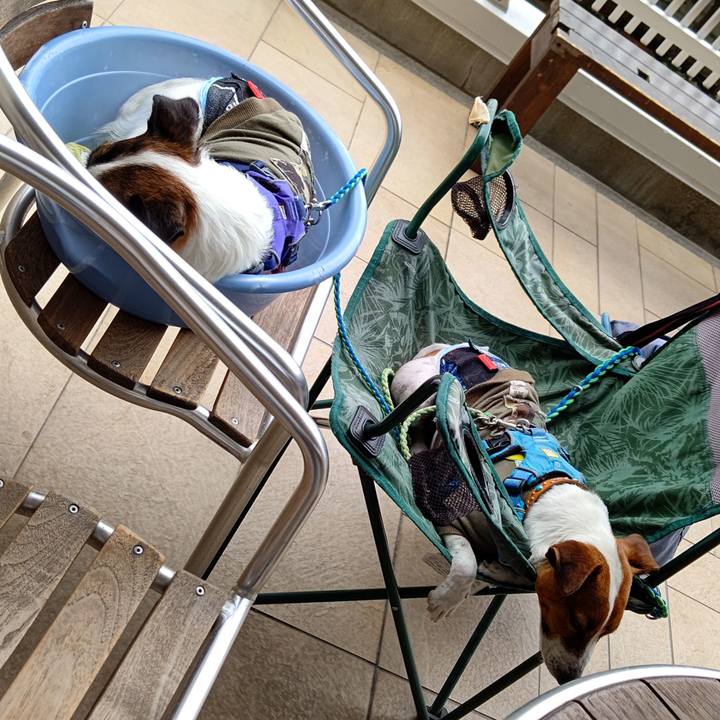 04d0a385 d8be 4316 a2af c264b969411e 1620730502077