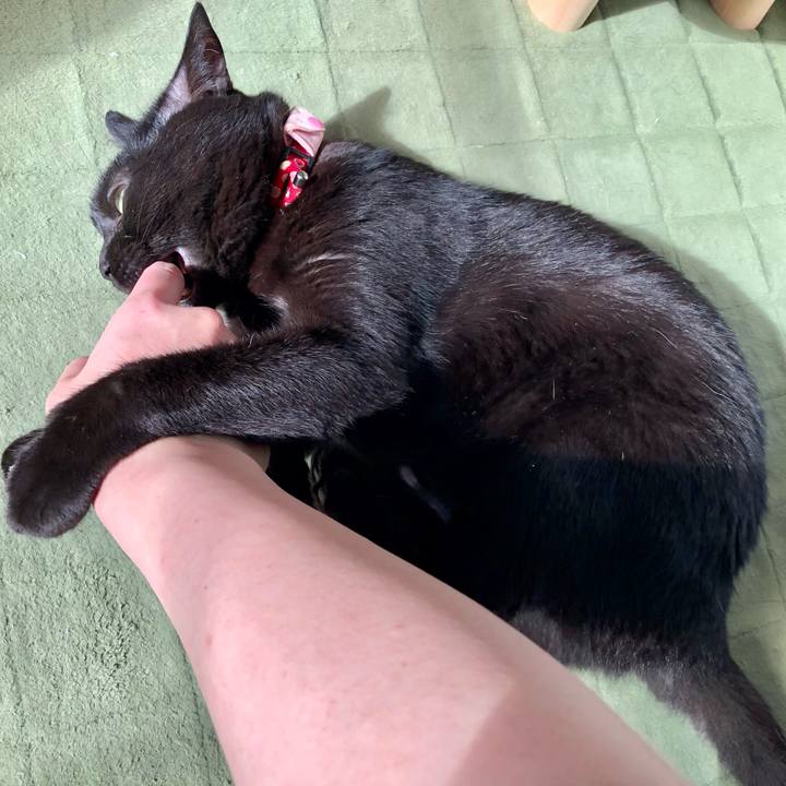 04d0b758 7b36 47d3 8ec1 2543fefe246c 1623883608450