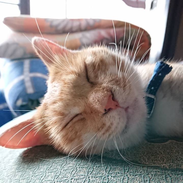 04d0beb0 0c24 4f7f 8cb9 38aad935b724 1566955956588