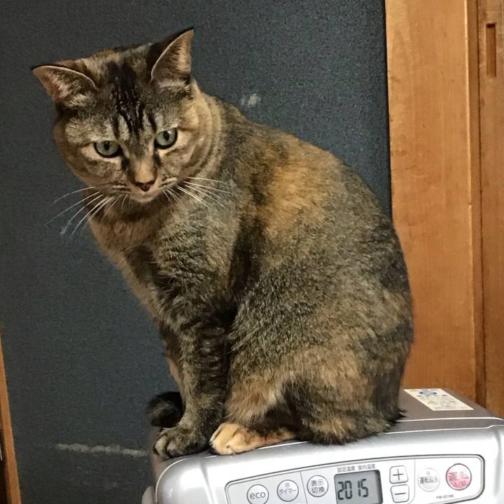 04d0d7bd 49e5 4712 90f1 fb295e6ef5f8 1733873525572