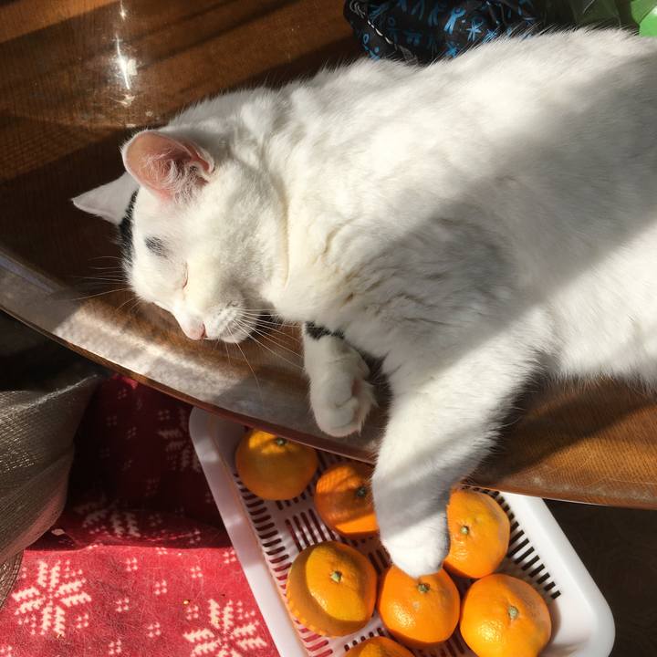 04d12208 3c73 47c0 b773 0a7d1f7f2035 1573624651518