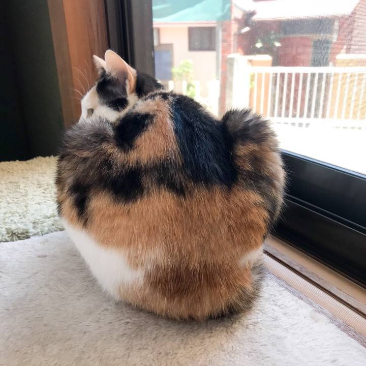 04d13a81 74c9 4a9b 97fb b285b1b7268a 1529547190295