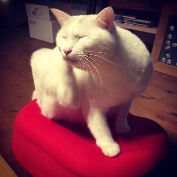 04d18ac8 63e8 4dfd a2d8 a6fdcde20211 1516202104277