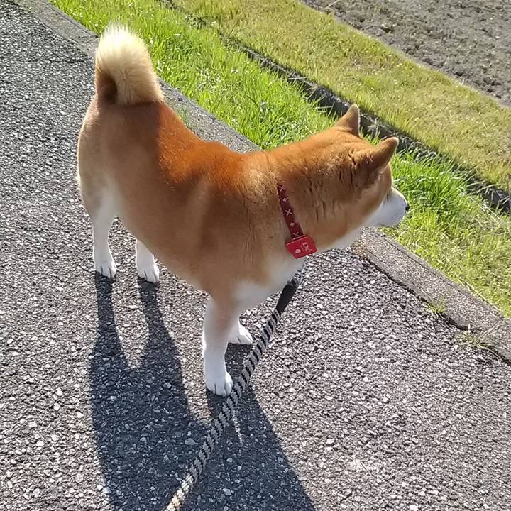 04d1b7cd 9541 4d16 be27 5d04888072c0 1648973237038